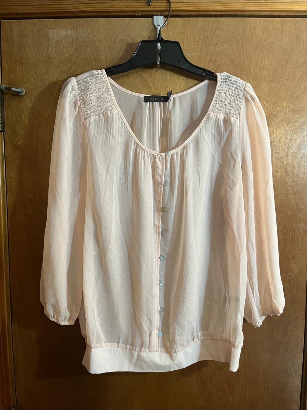The Limited Large Pale Pink Sheer Button-Front Blouse - BUNDLE
